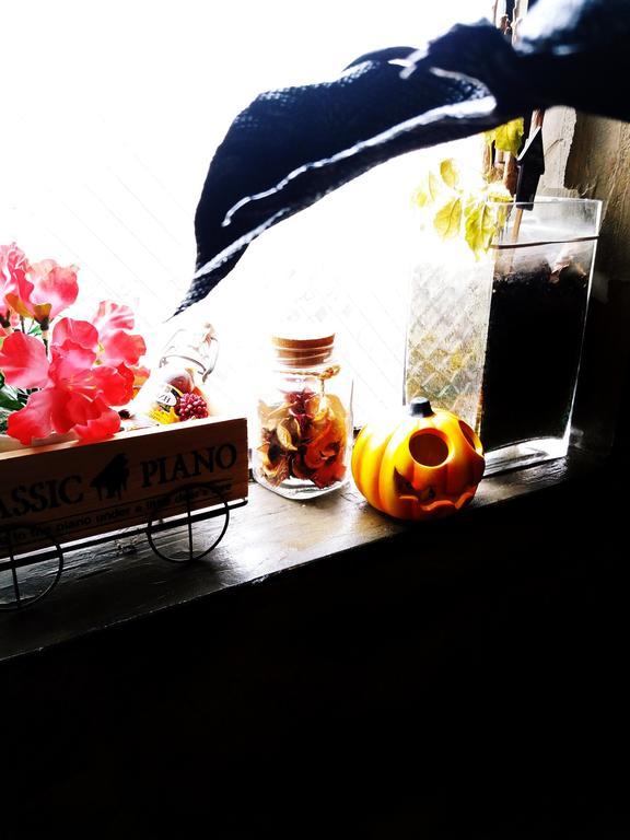 Vin Guesthouse 首爾 外观 照片